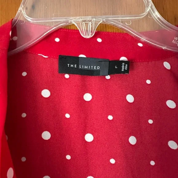 The Limited Scarlet Sheer Blouse with Ivory Polka Dots and Front Tie - Picture 4 of 8